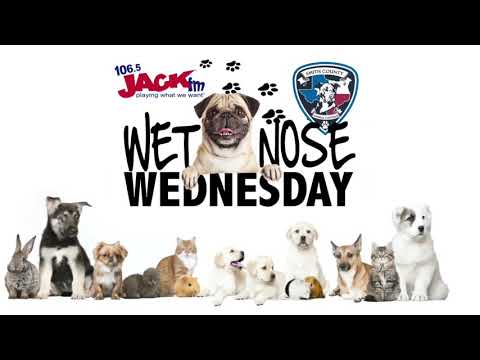 #WetNoseWednesday – Mr. Anderson